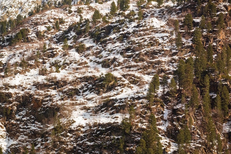 Mountain Hike
